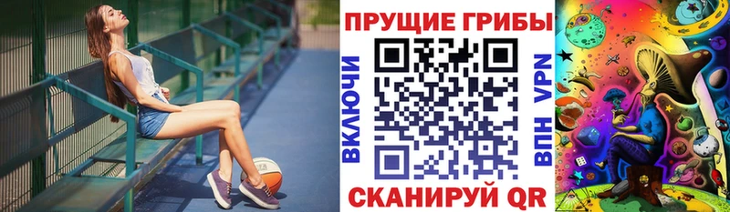 закладка  Северо-Курильск  Галлюциногенные грибы ЛСД 